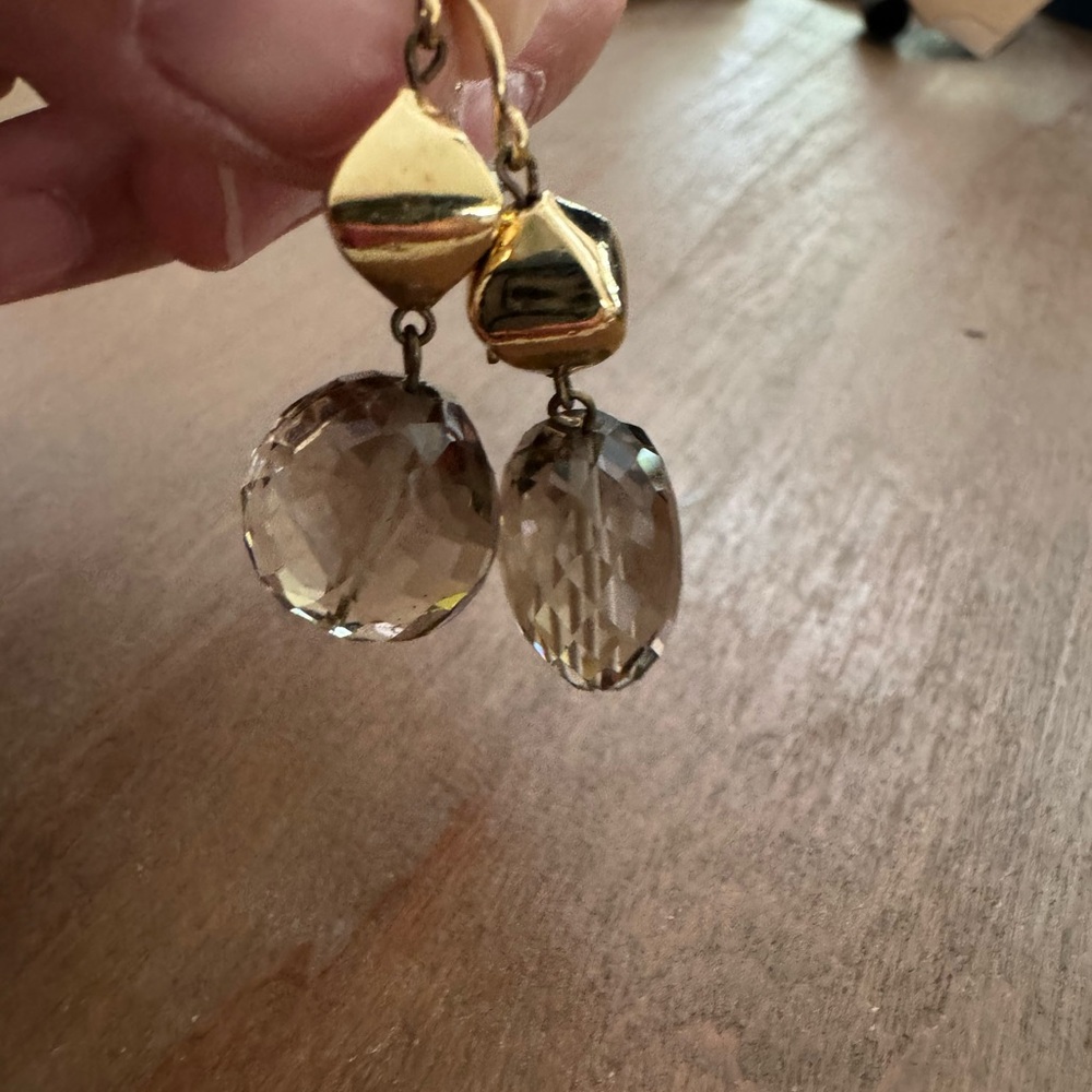 Elegant Gold and Brown Dangle Earrings